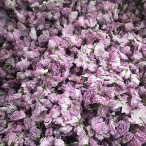 Dried Cherry Blossoms: Natural Pink Flowers 100G