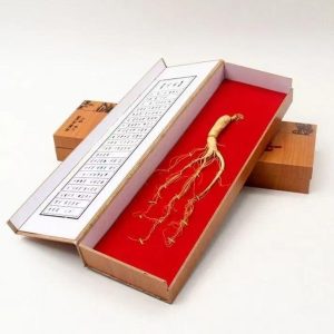 5g/pc Dried Wild Ginseng Whole Root, 15 years ginseng