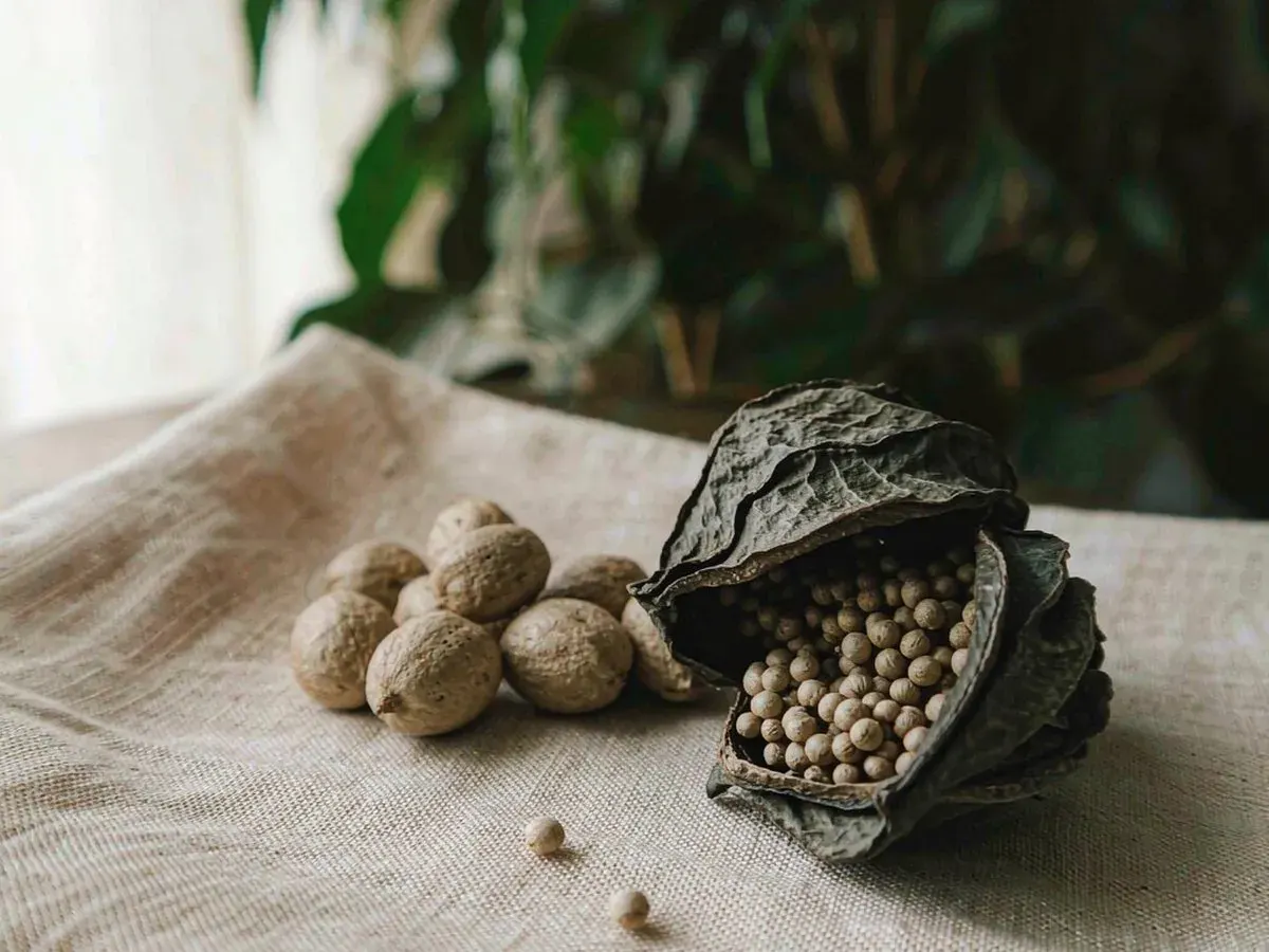 Alpinia Cardamom: Sha Ren, the Warming Spice the Chinese Pharmacy Uses