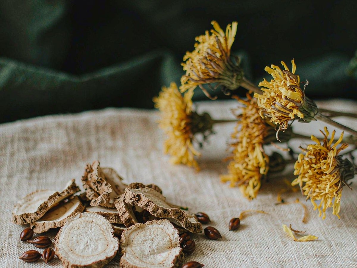 Dandelion: The Weed That Three Continents Take Seriously