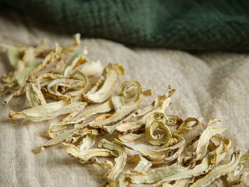Goji Root Bark: The Part of the Wolfberry Nobody Drinks