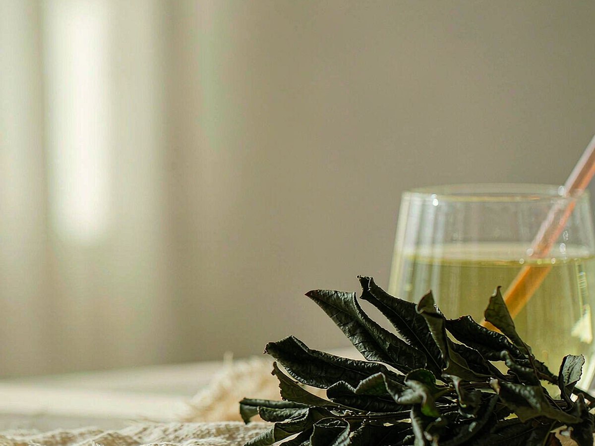 Kuding: The Bitter Tea That Nobody Drinks for the Taste