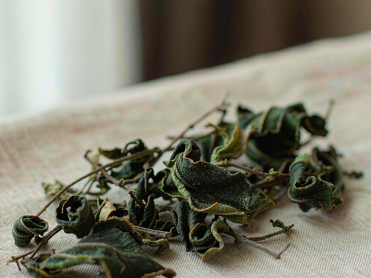 Vine Tea: The Grassy Tea with a Reputation for Weight Loss