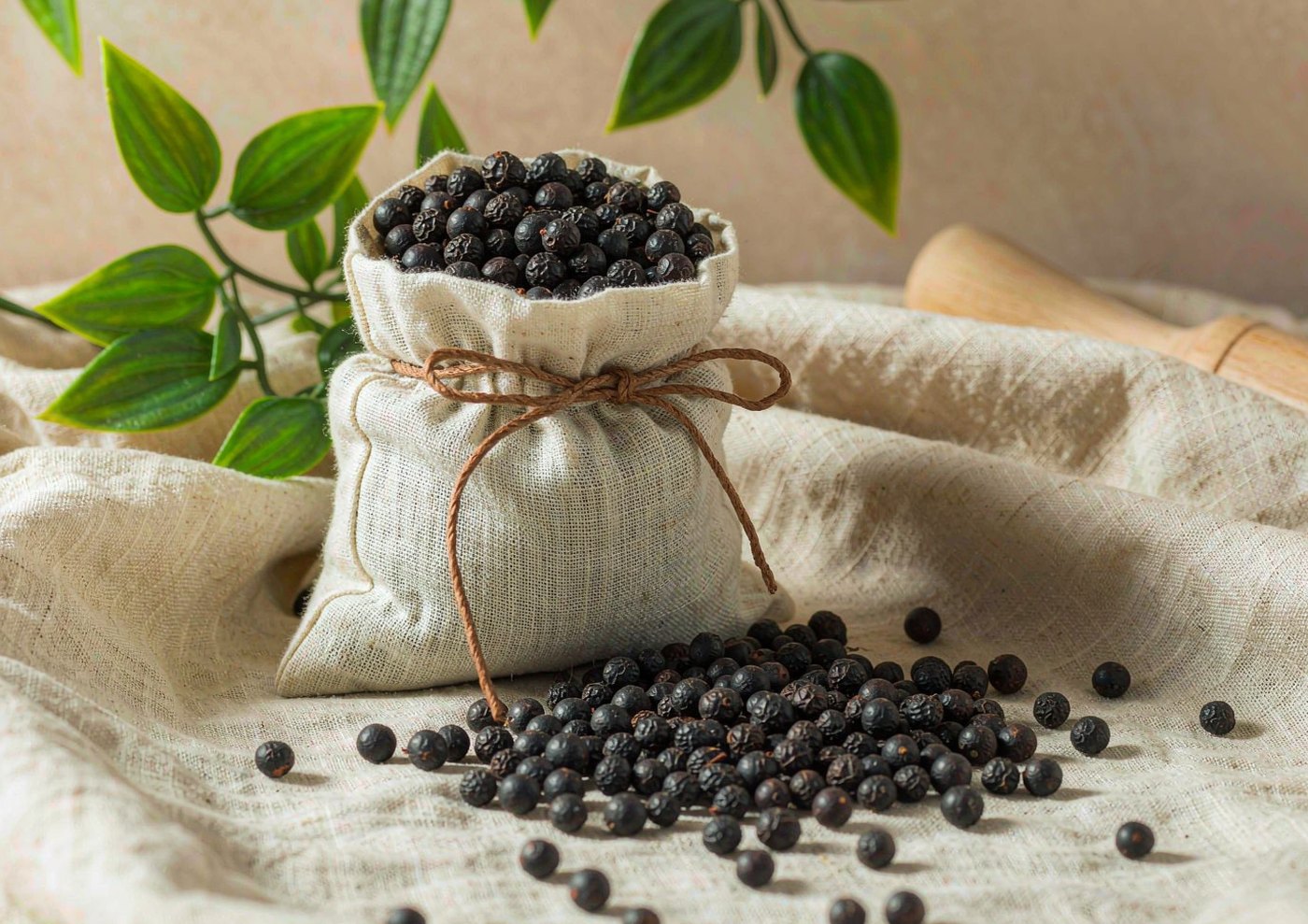Black Pepper: The Everyday Heat of the Spice Trade