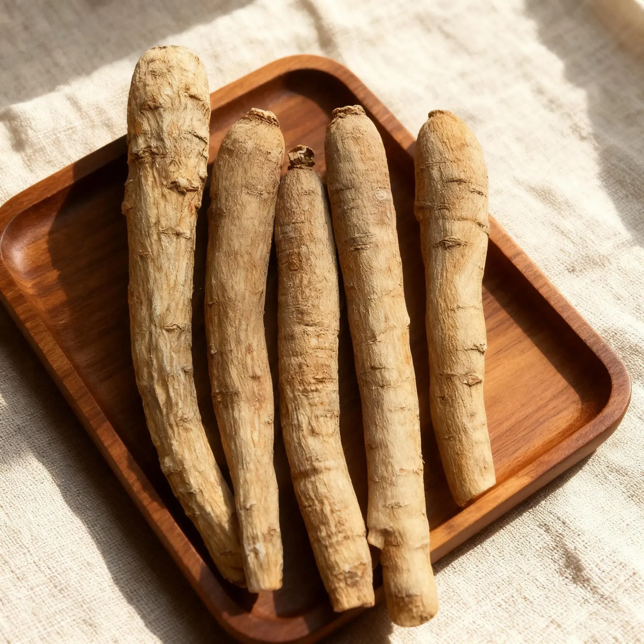 American Ginseng Dried Root Slices (Panax quinquefolius)