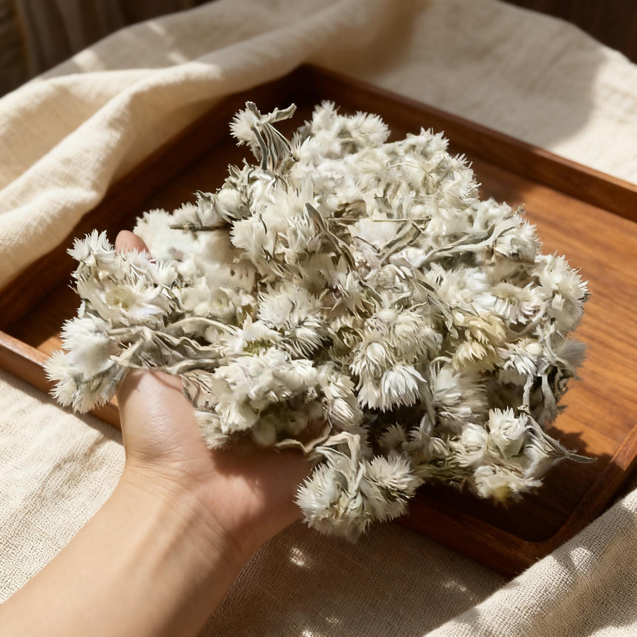Snow Chrysanthemum Dried Flowers (Coreopsis tinctoria) - Image 4